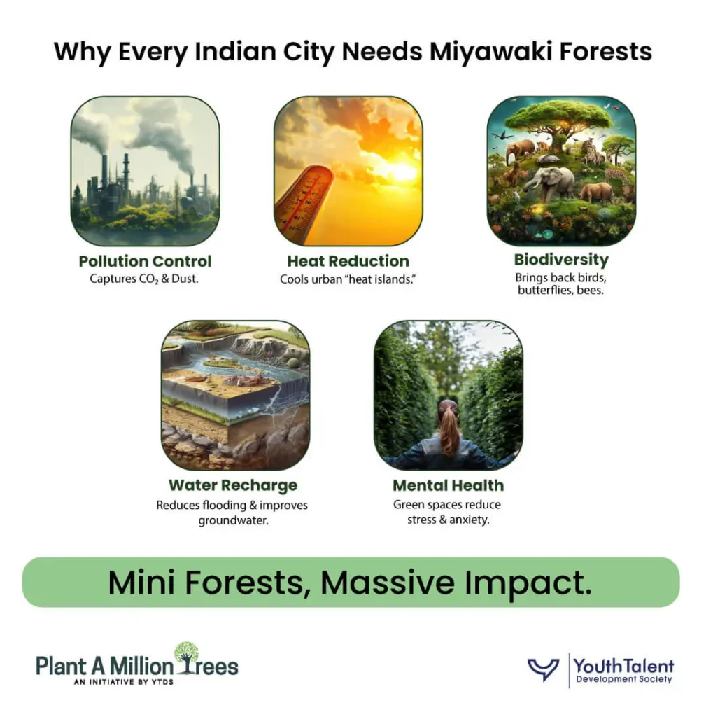 why every Indian city needs miyawaki forests