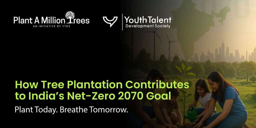 tree plantation net zero India