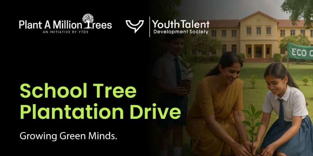 school tree plantation drive