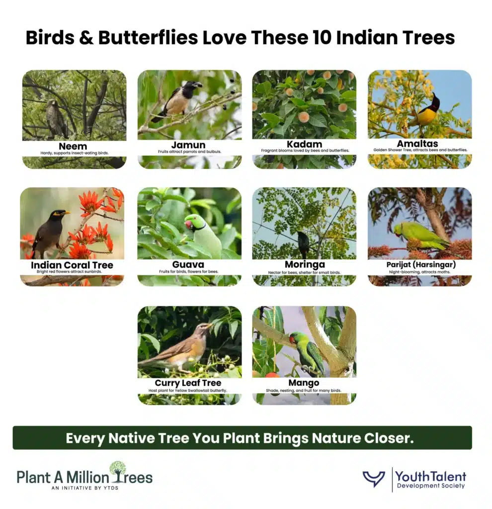 10 Bird and butterfly friendly trees in India