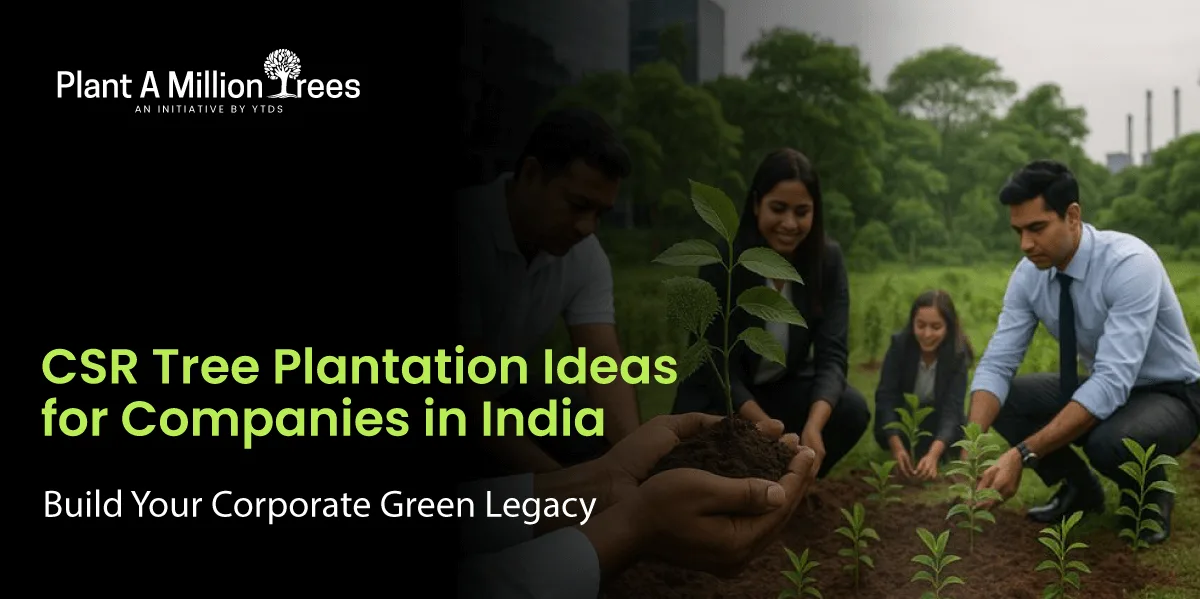 Build-Your-Corporate-Green-Legacy