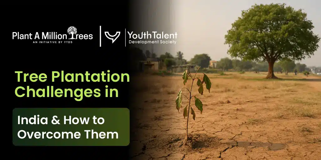 tree plantation challenges in India