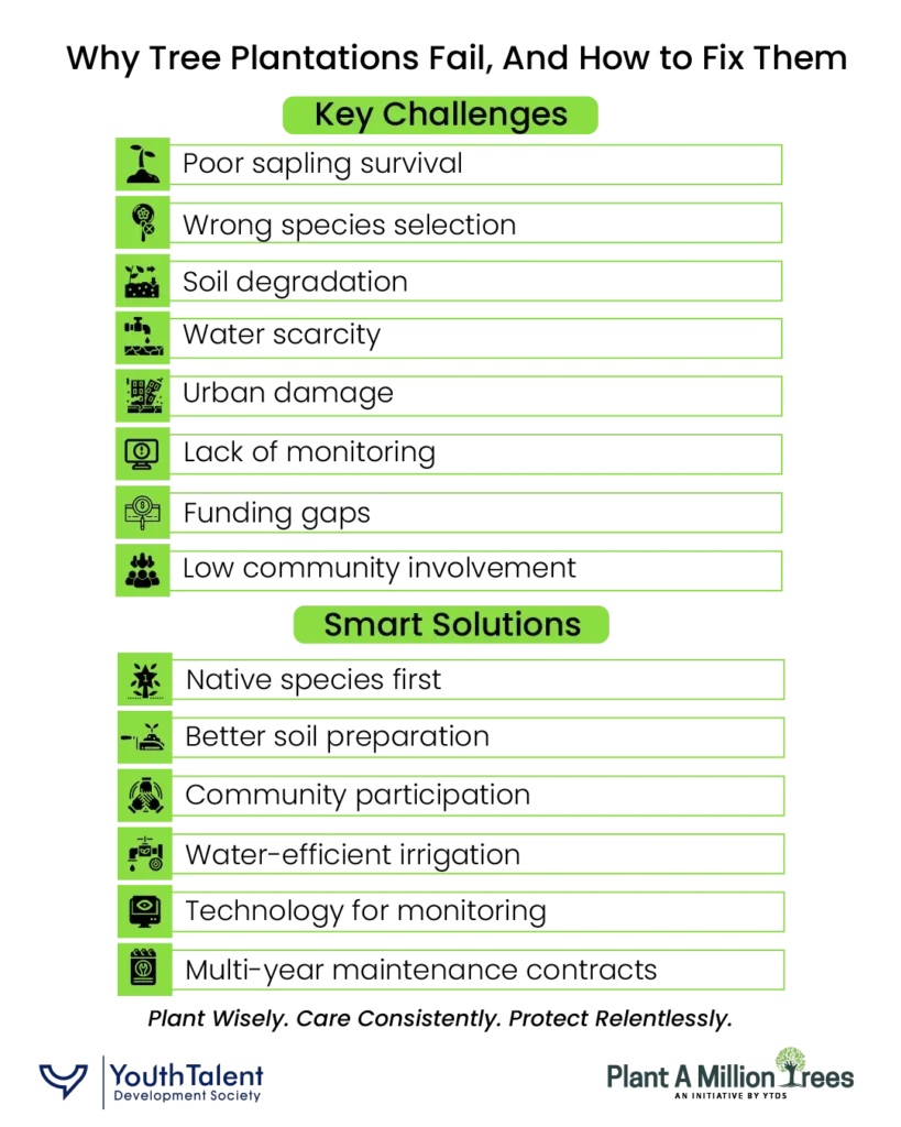 why tree plantation fail and how to fix them