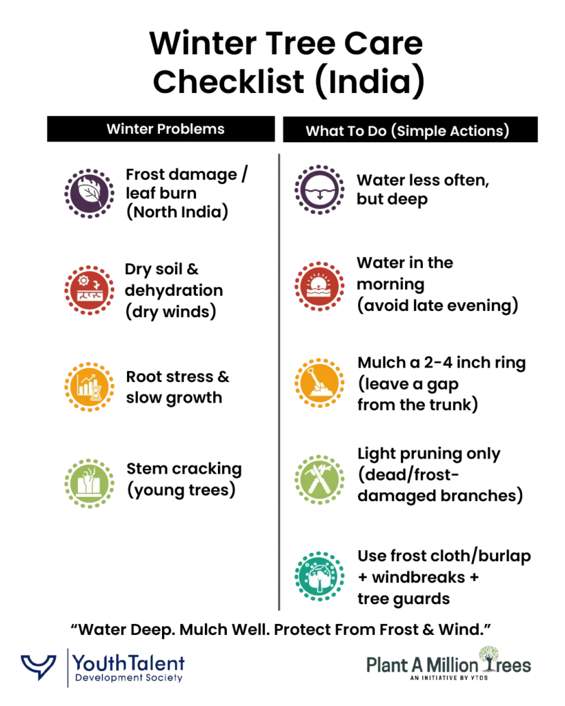winter tree care checklist