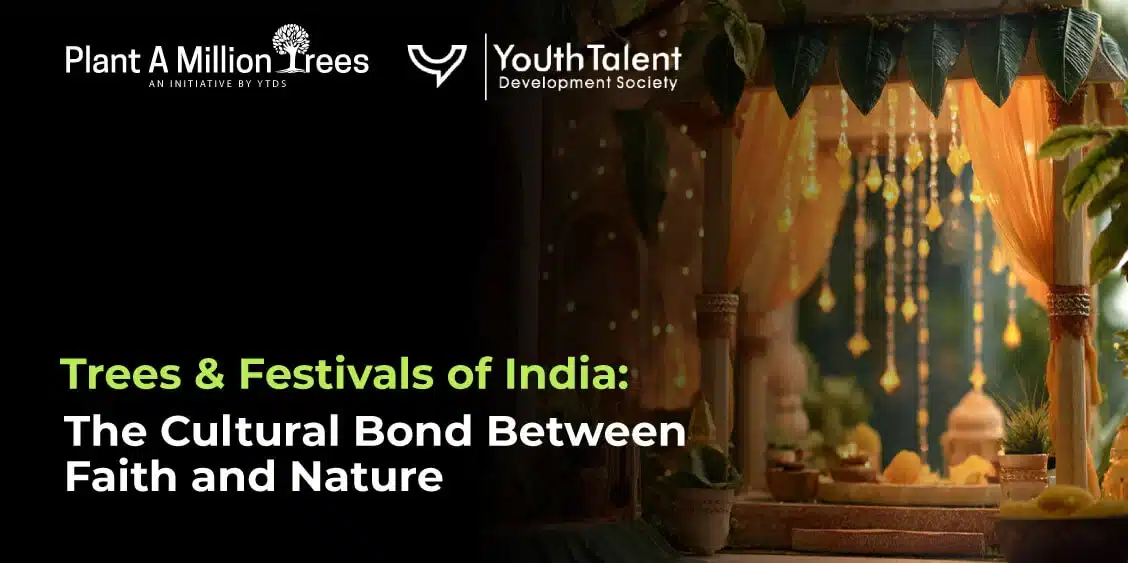 trees and indian festivals