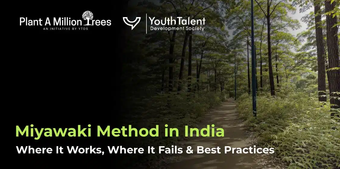 miyawaki method in india