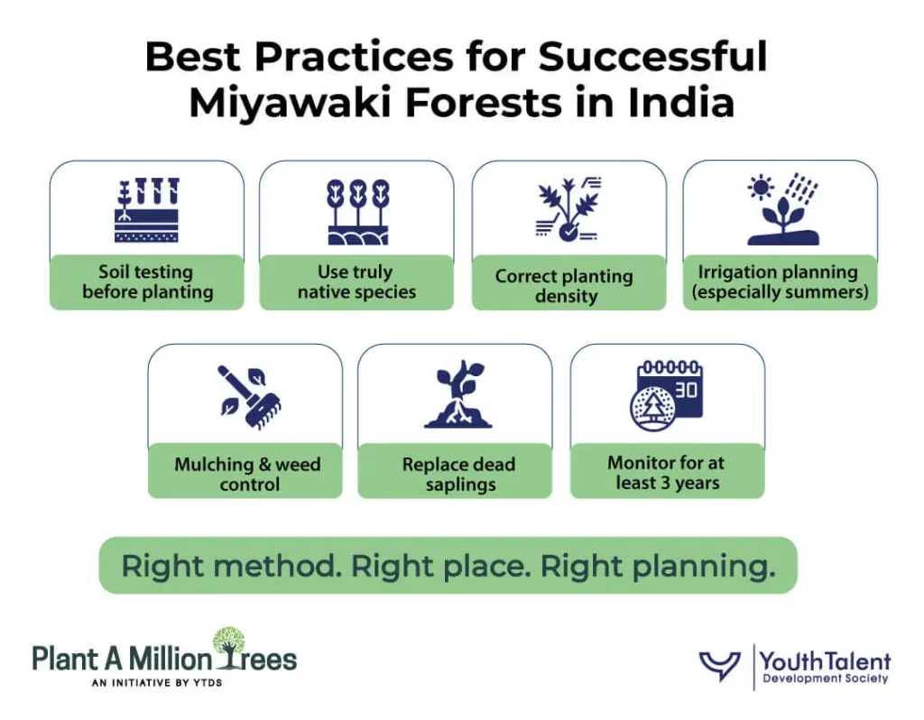 best practices for successful miyawaki forrests in india