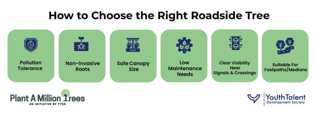 how to choose the right roadside tree