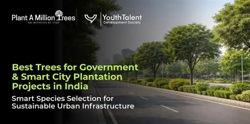 smart city plantation trees India