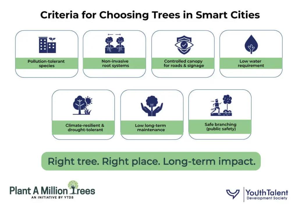 Criteria for choosing trees in smart cities