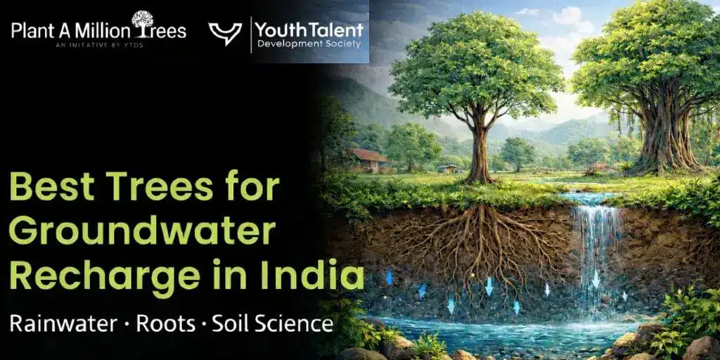 best trees for groundwater recharge in india