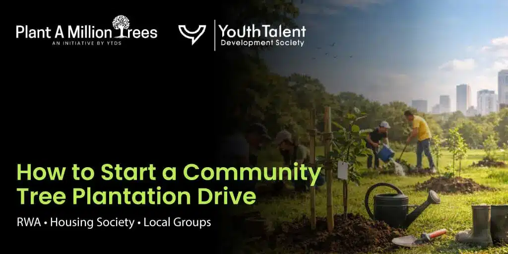 community tree plantation drive
