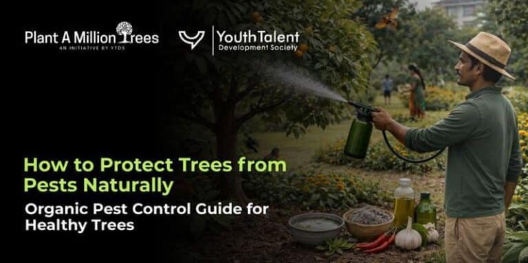 How to Protect Trees from Pests Naturally (Organic Guide)