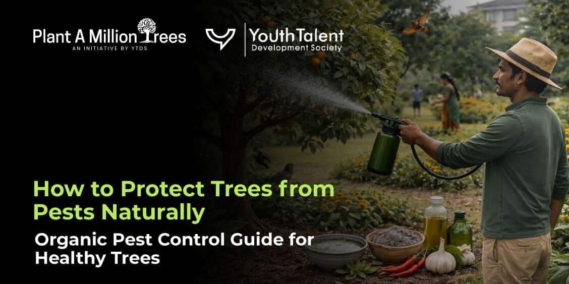 How to Protect Trees from Pests Naturally (Organic Guide)