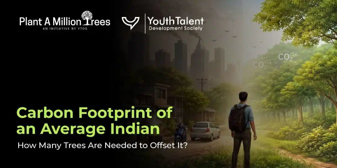 How Many Trees Are Needed to Offset It