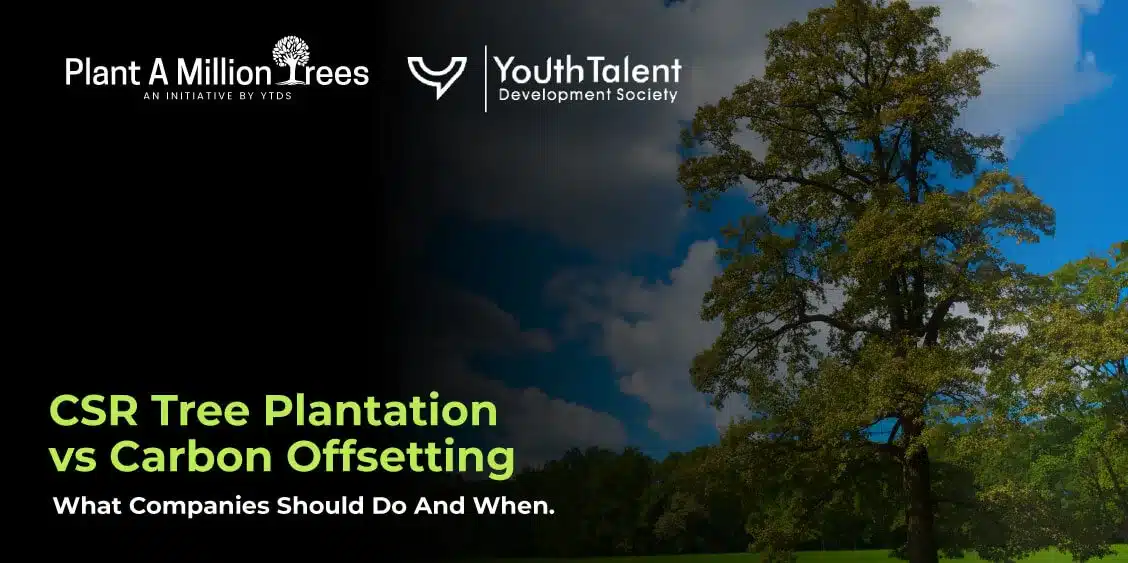 csr tree plantation vs carbon offsetting