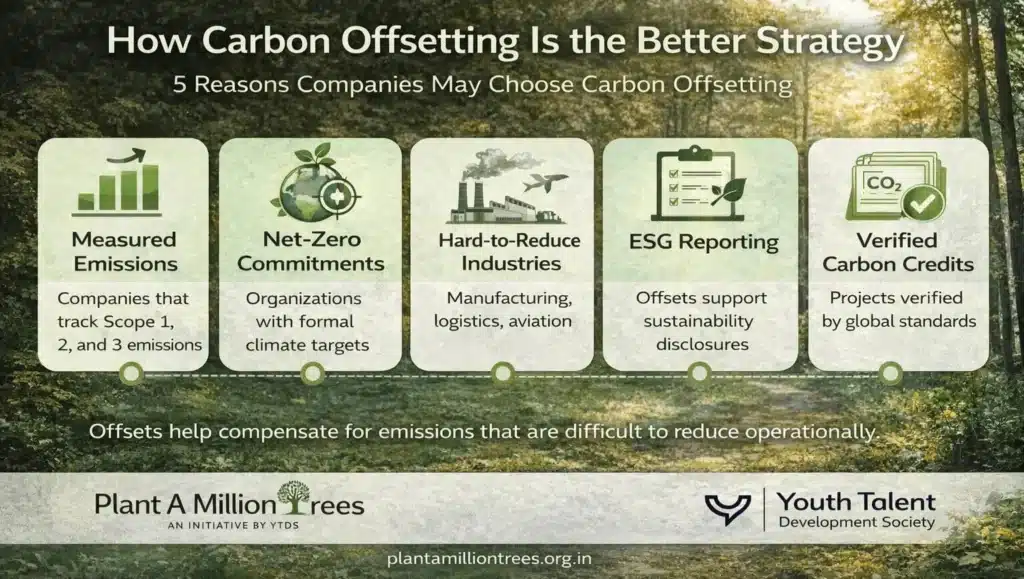 how carbon offsetting is the better strategy