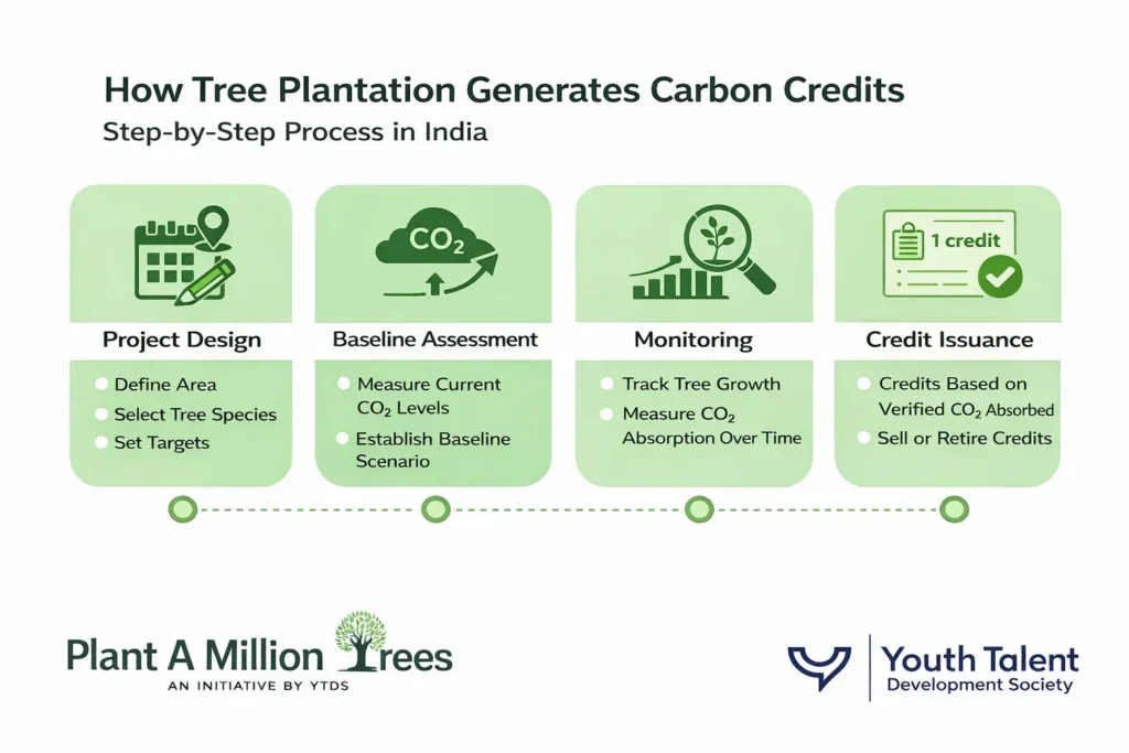 how tree plantation generate carbon credits