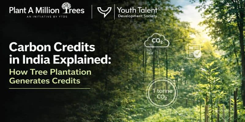 Carbon credits india tree plantation