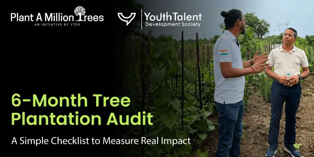 How to Audit a Tree Plantation Site After 6 Months: A Simple Checklist