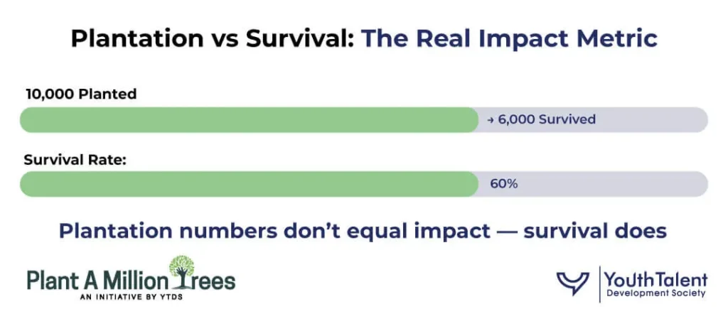 Plantation vs Survival Metrics
