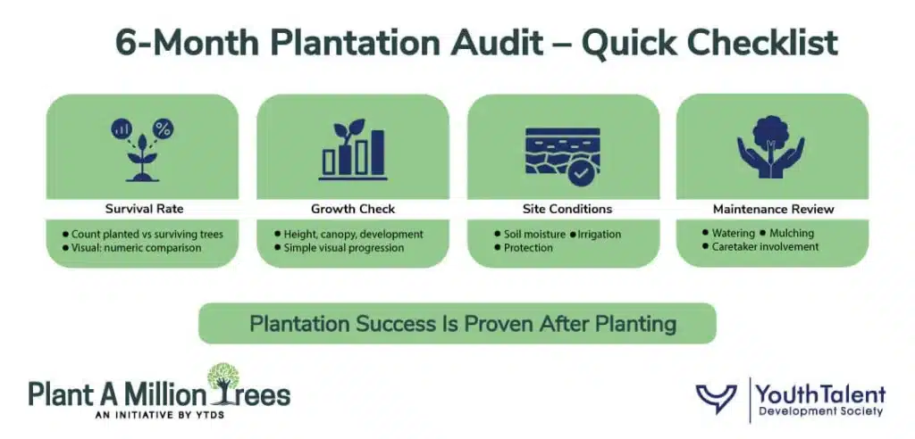 6 month plantation audit checklist