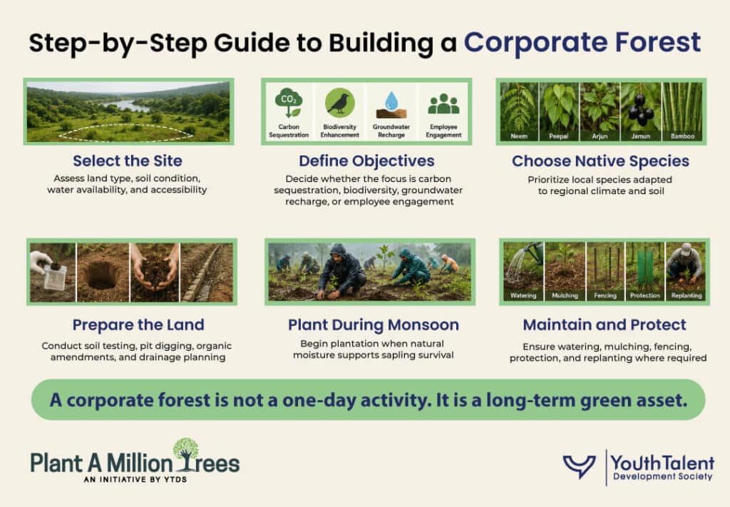 step by step guide to building a corporate forest