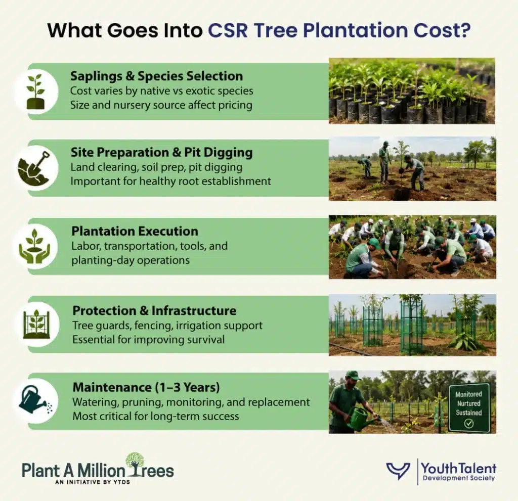 csr tree plantation cost