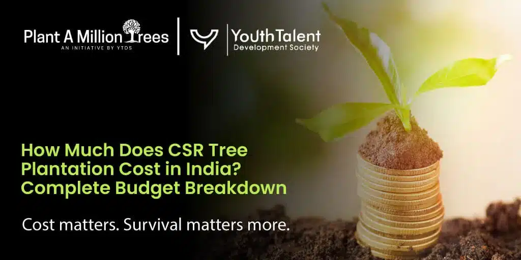 csr tree plantation cost in india