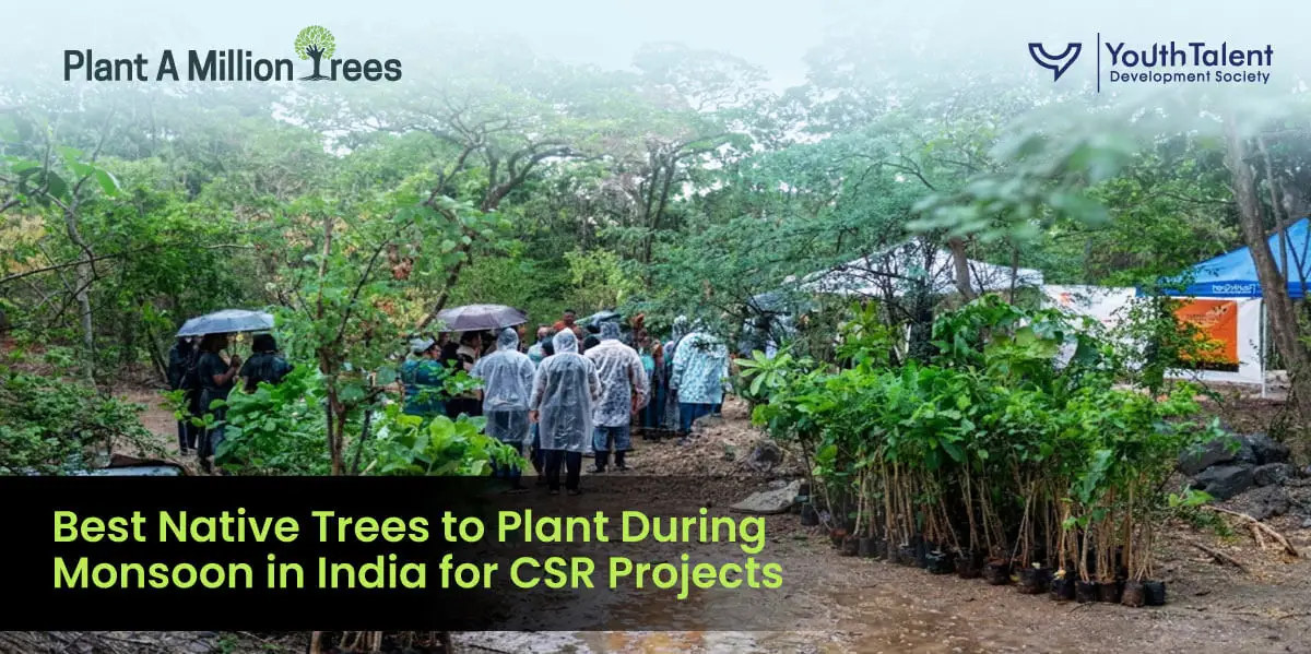 best native trees to plant during monsoon in india for csr project