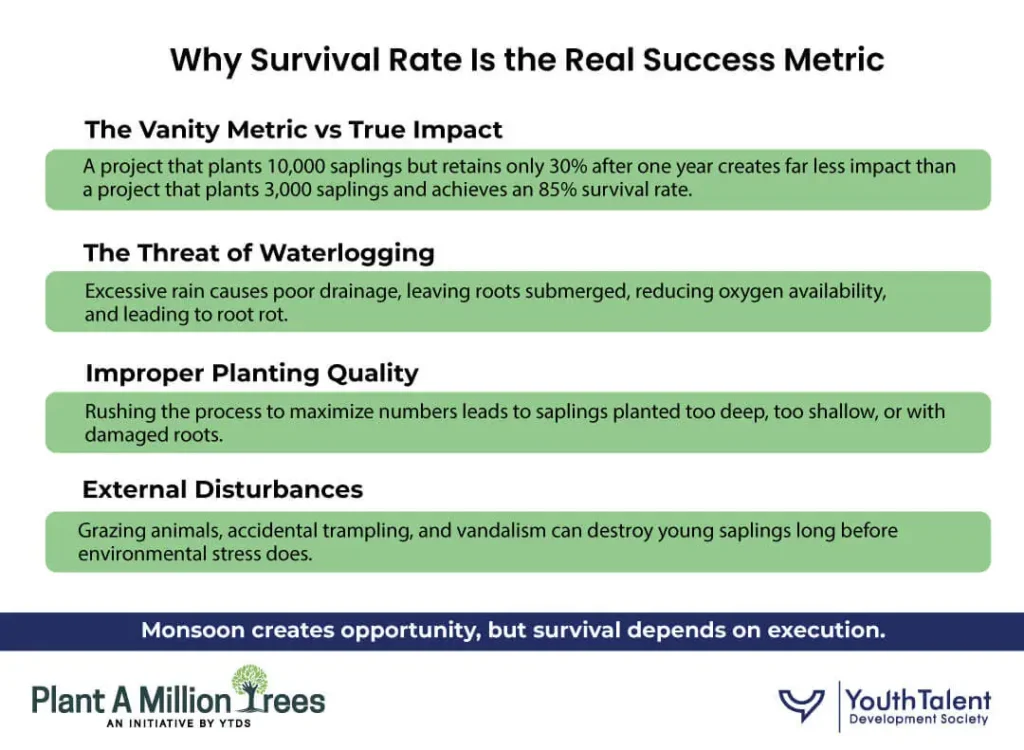 survival rate is the real success metric