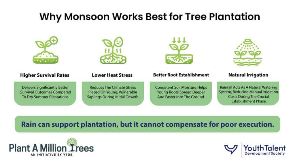why mansoon works best for tree plantation