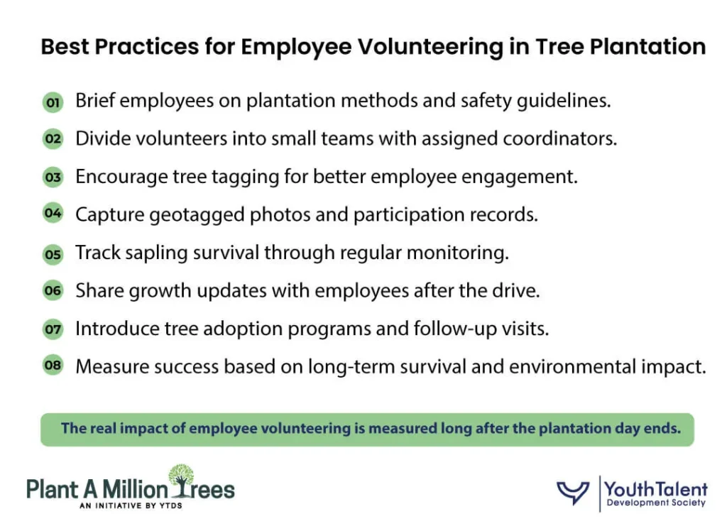 Best practices to maximize employee engagement and long-term impact in CSR tree plantation drives.