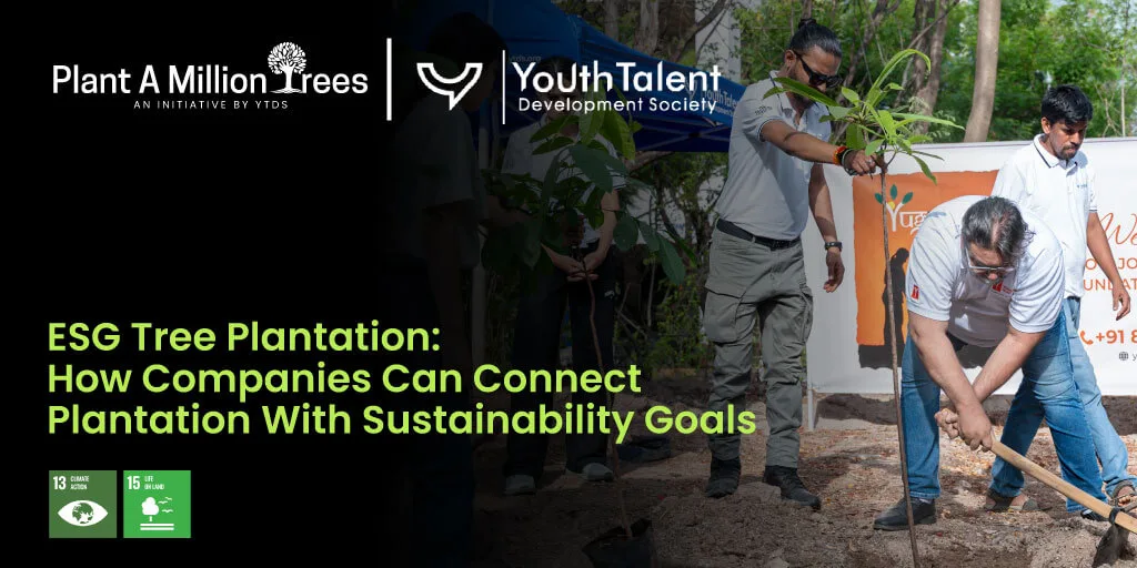 ESG Tree Plantation How Companies Can Connect Plantation With Sustainability Goals