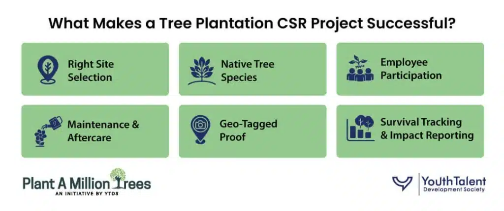 What Makes a Tree Plantation CSR Project Successful