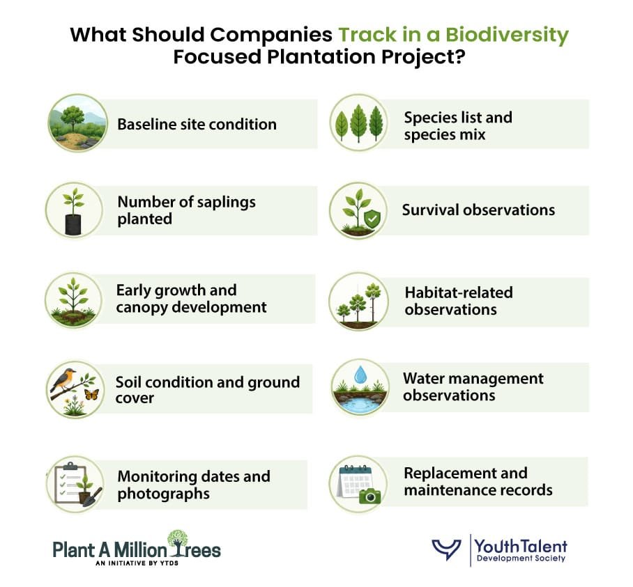 Companies track in a biodiversity focused plantation project