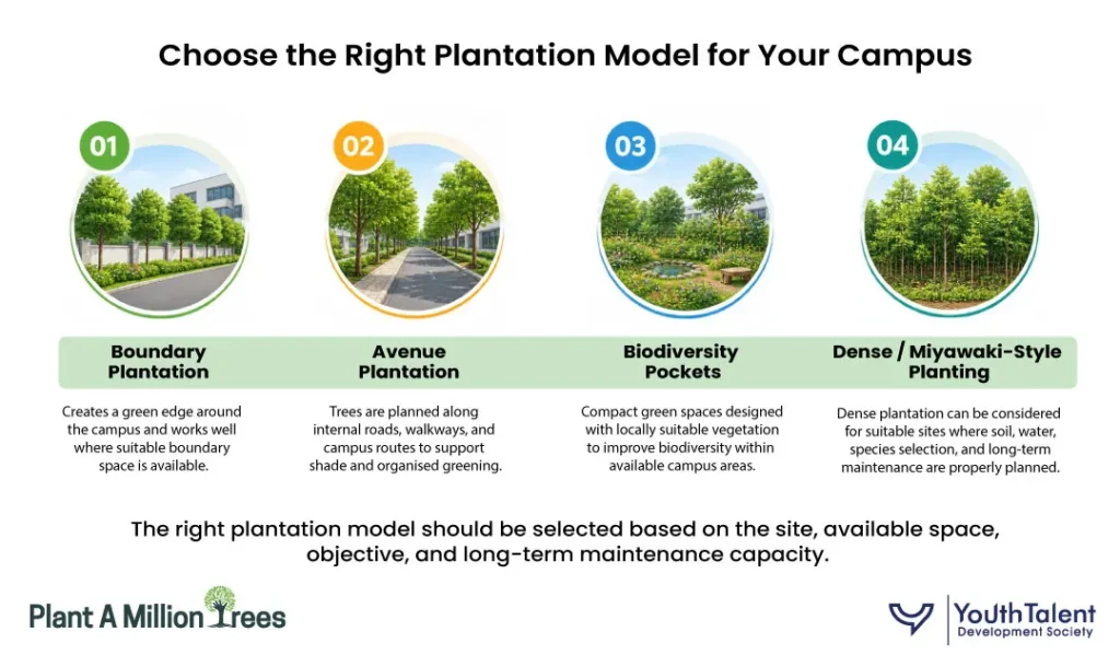 Choose the Right Plantation Model