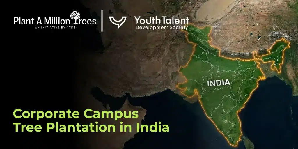 Corporate Campus Tree Planting India