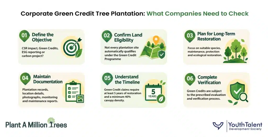 Corporate Green Credit Tree Plantation