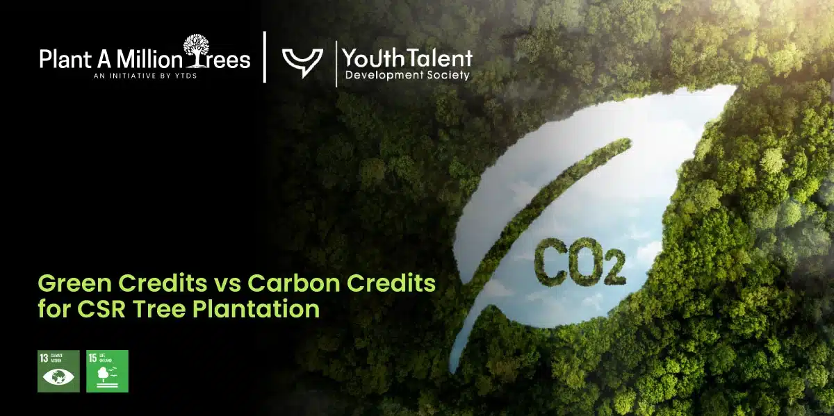 Green Credits Vs Carbon Credits For CSR Tree Plantation