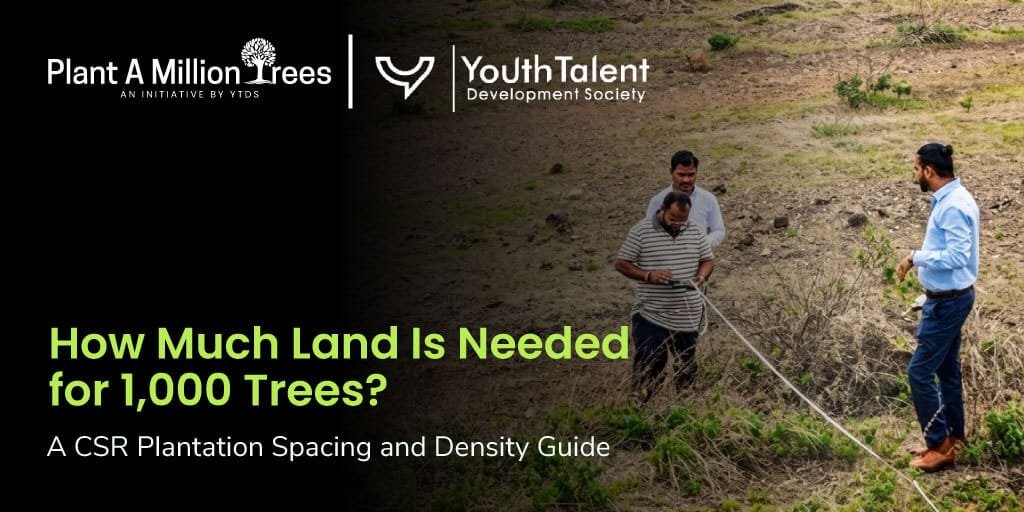 how many trees per acre