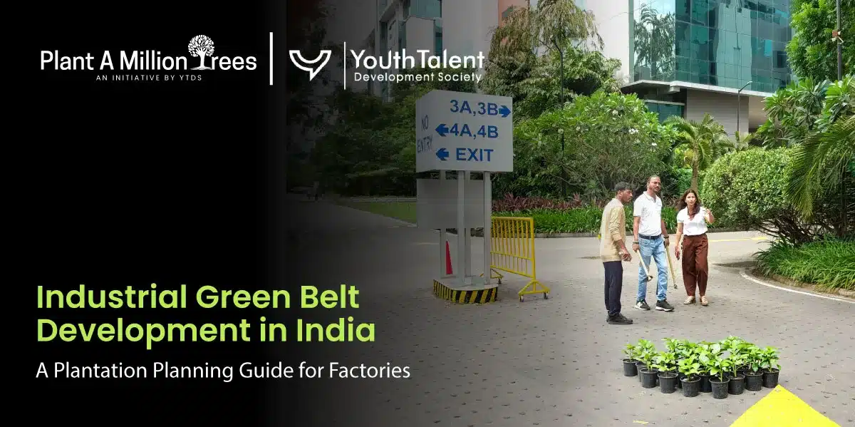 Industrial Green Belt Development in India: A Plantation Planning Guide for Factories