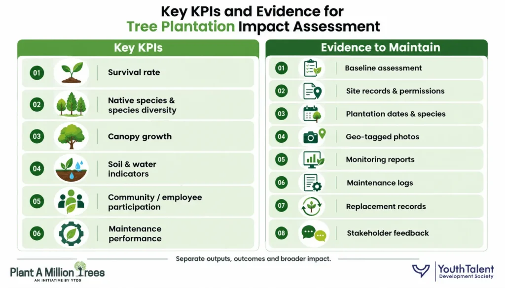 Tree Plantation Impact KPIs and Evidence