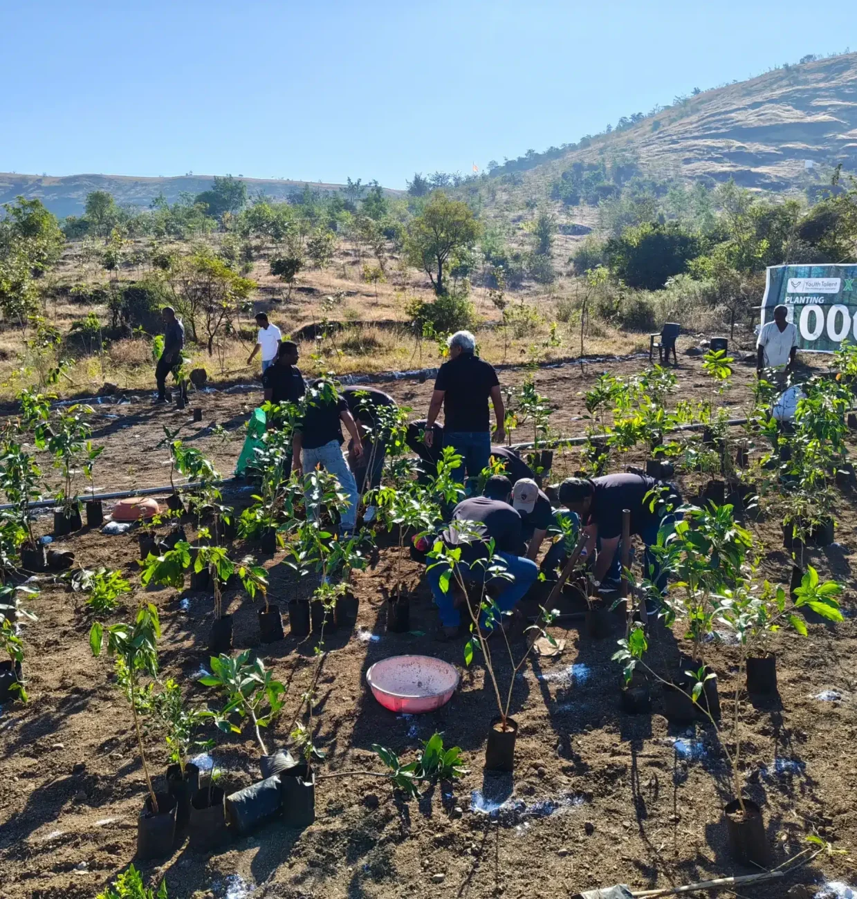 Corporate CSR tree plantation team actively planting saplings during a sponsored plantation drive in Pune, India